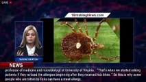 Single tick bite can cause a life-threatening meat allergy: report - 1breakingnews.com