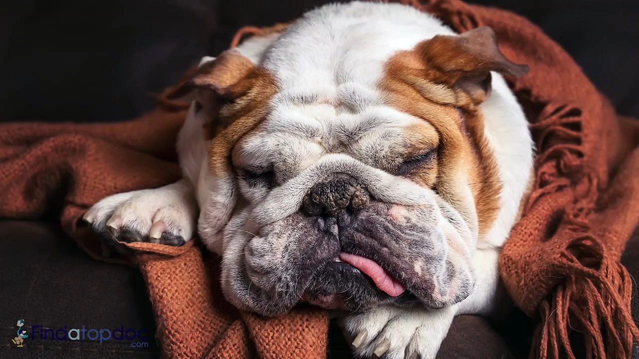 FindaTopDoc - What Are Skin Tags?