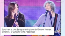 Louis Bertignac séparé de Carla Bruni : 