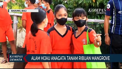 Token Anagata : Tanam Mangrove, Turunkan CO2