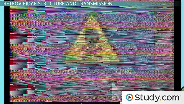 HIV and AIDS- Mechanisms and Diseases of the Retroviridae Virus Family