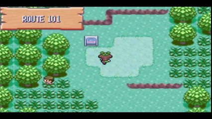 LET'S PLAY POKEMON ÉMERAUFE RANDOMIZER #2