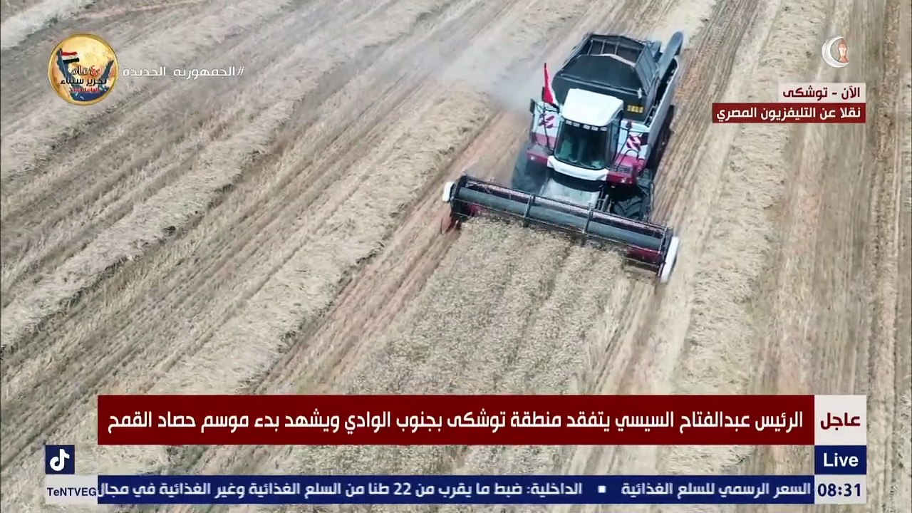 شاهد لحظة بدء موسم حصاد القمح في توشكى بجنوب الوادى