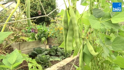 Roland Motte, jardinier : un jardin au naturel, sans produits et sans beaucoup de travail