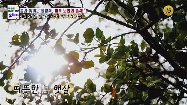 봄과 찾아온 불청객, 피부 노화의 습격!_내 몸을 살리는 유레카 62회 예고 TV CHOSUN 220424 방송