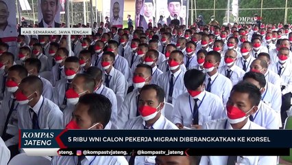 5 Ribu WNI Calon Pekerja Migran Diberangkatkan ke Korsel