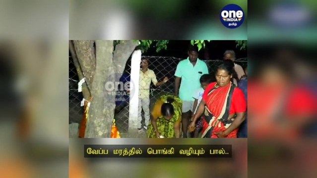 நாகை: வேப்ப மரத்தில் பொங்கி வழியும் பால்: சிறப்பு பூஜை செய்து வழிபடும் ஊர் மக்கள்!