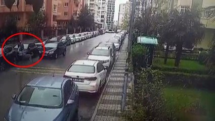 Pitbull saldırdı, o kaçtı! Otomobilin üstüne çıkarak kendini savunan şahıs kamerada