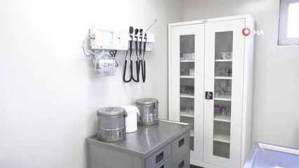 Sincan Kedi Tedavi Ünitesi ve Rehabilitasyon Merkezi görücüye çıktı