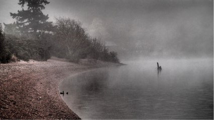 Histoire : le monstre du Loch Ness était-il une anguille géante ?