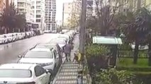 Pitbull ve sokak köpeği saldırınca otomobilin üstüne çıktı 