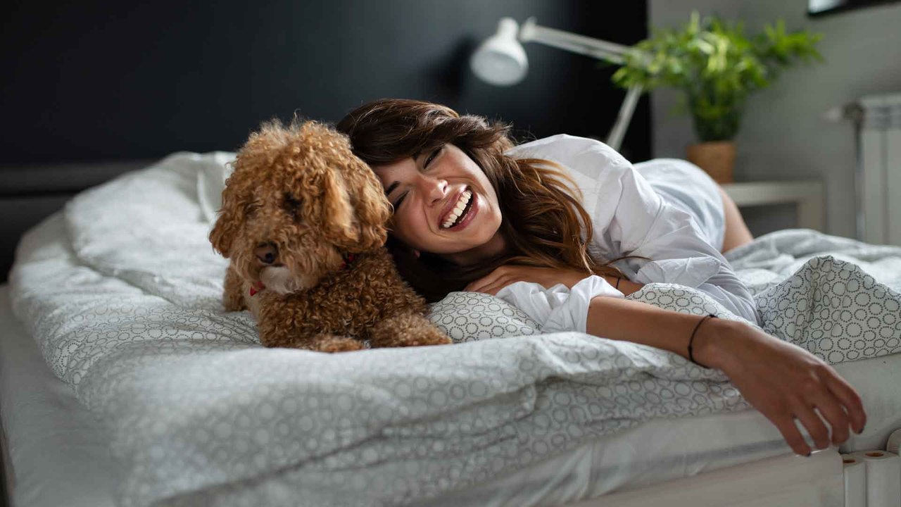 DAS sind die hundefreundlichsten Hotels in Europa