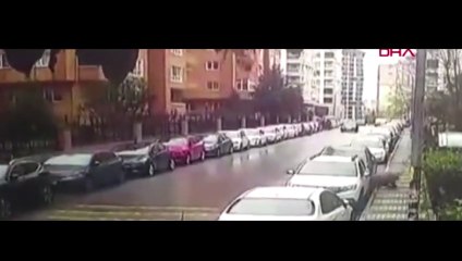 Pitbull ve sokak köpeği saldırınca otomobilin üstüne böyle çıktı