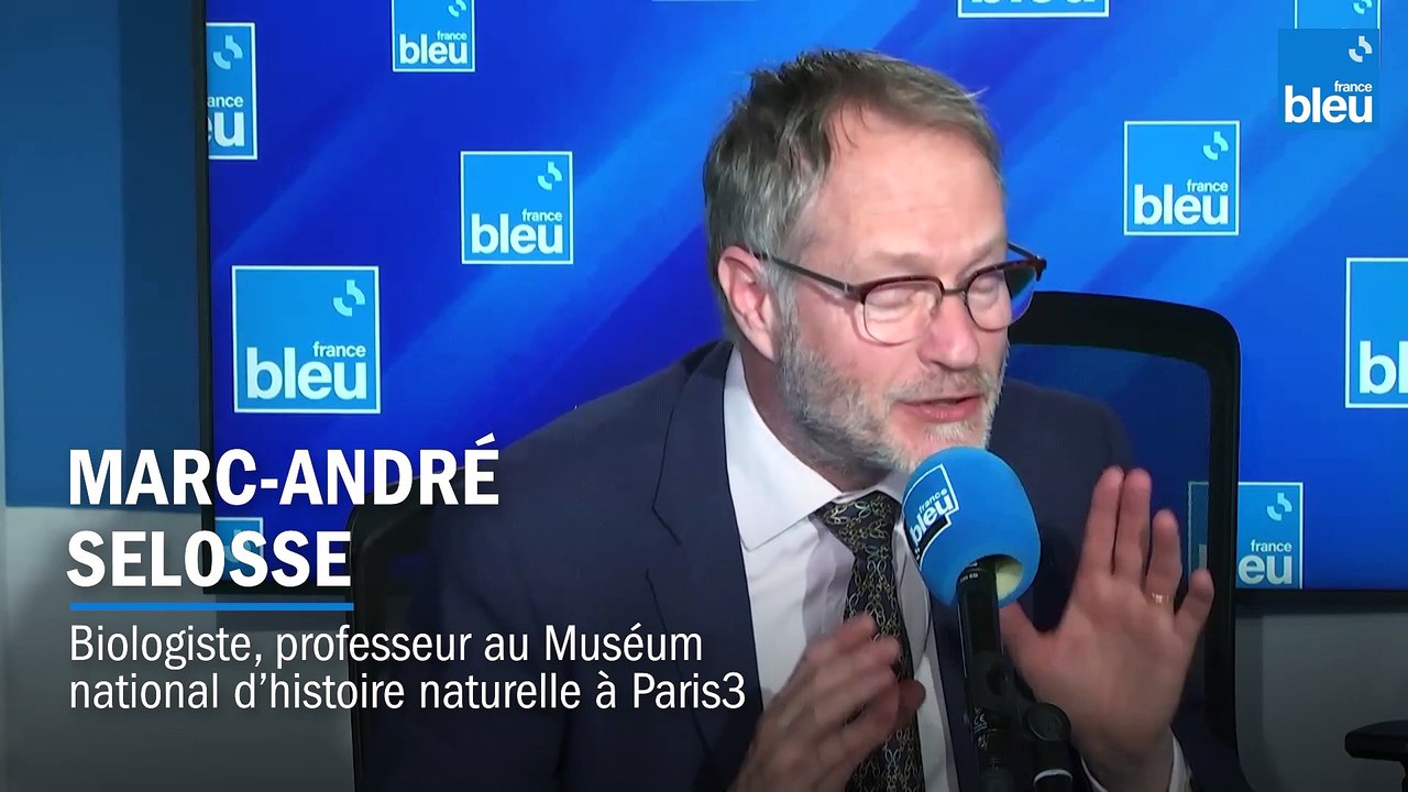 Ces bactéries qui nous gouvernent