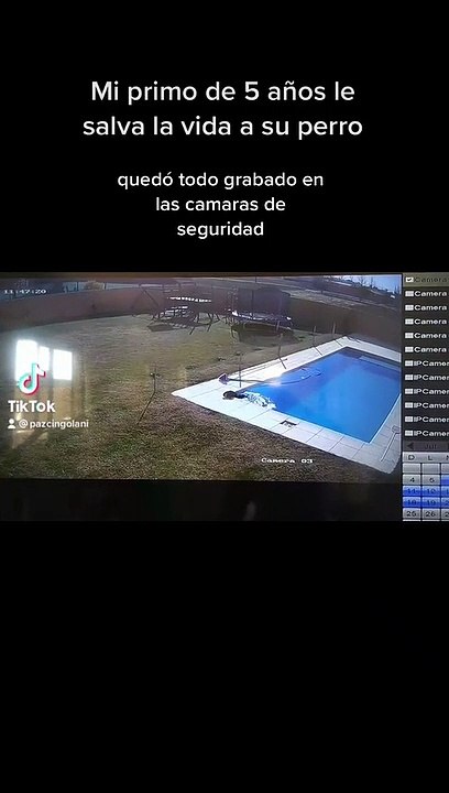 Un niño de cinco años salva a su perro de ahogarse en su piscina