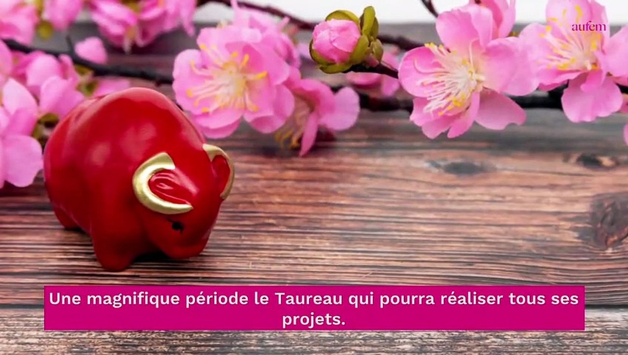 Astro : avec quel signe le Taureau est-il le plus compatible ?