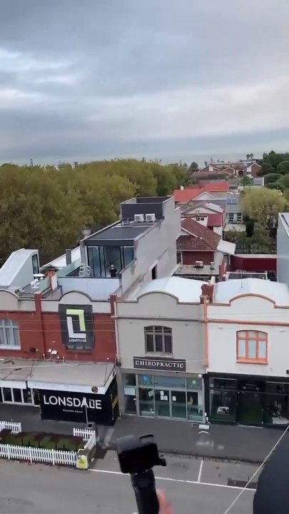 Leur montgolfière fait un atterrissage forcé dans les arbres