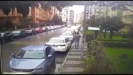 Sahipsiz köpeklerin saldırısına uğrayan kişi yaralandı