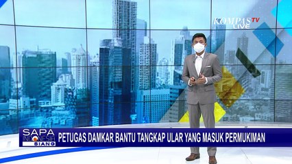 Ular Berbisa Masuk ke Teras Rumah dan Terjebak di Saluran Air, Petugas Damkar Bantu Evakuasi