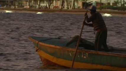 El otro lado de la historia: pesca artesanal afectada por el fallo de la Corte