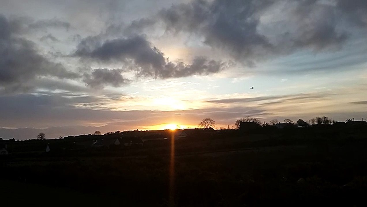 Darkness Into Light: Dawn chorus at sunrise as night turns into day