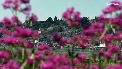 "Uma democracia deve saber defender-se", avisa politógo sobre a extrema-direita