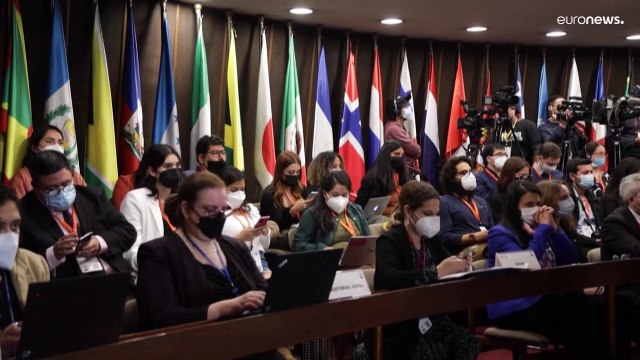 Crisis climática y protección a ambientalistas en la agenda de la COP1 de Chile