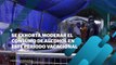 Exhorta Salud a moderar el consumo de alcohol en estas vacaciones | CPS Noticias Puerto Vallarta