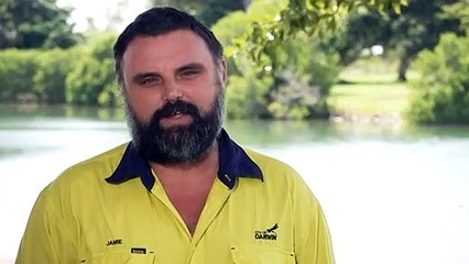 Shark sighting in suburban Darwin lake likely case of mistaken identity