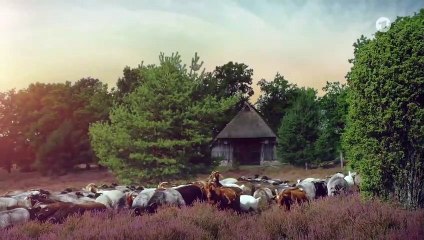 Rote Rosen 3545 folge