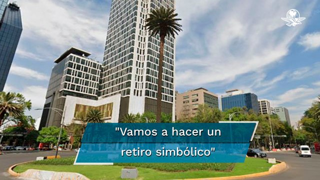 Retirarán icónica palma de Paseo de la Reforma