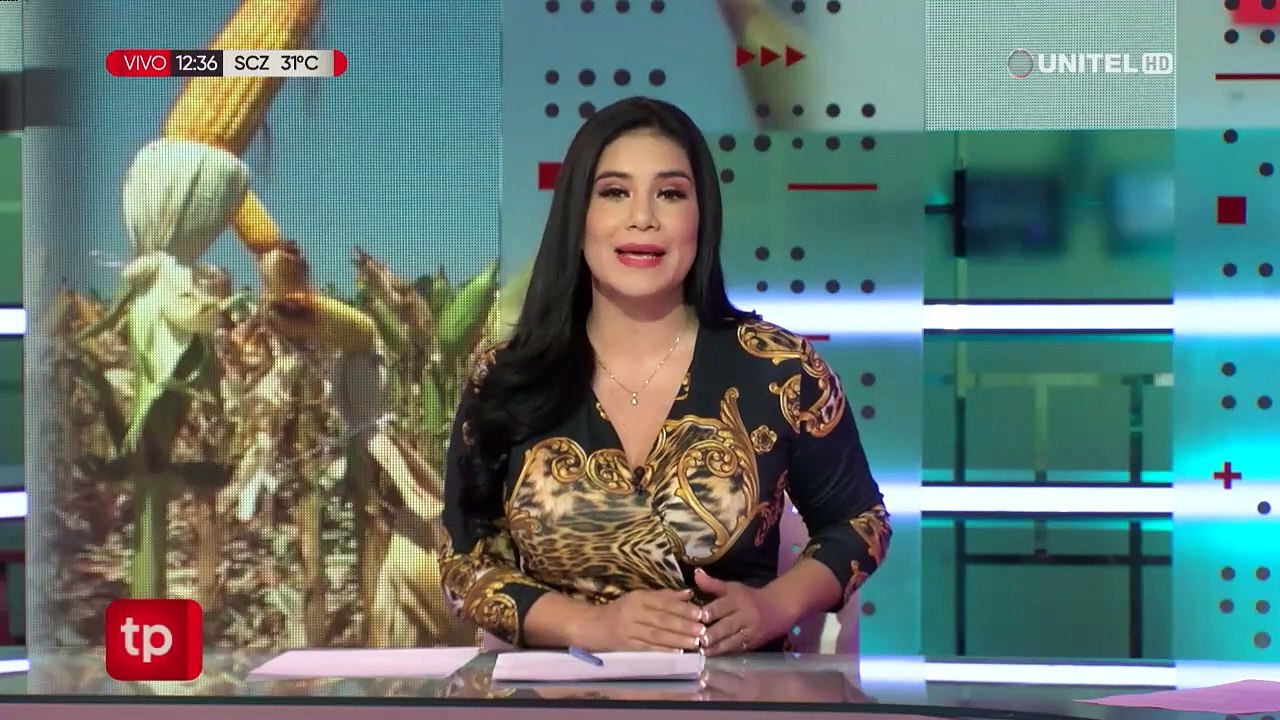 Gobierno y pecuarios buscan en mesas de trabajo en Cochabamba buscar soluciones a la escasez de maíz