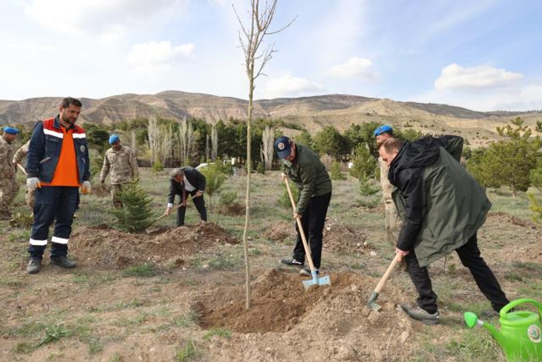 Sivas Valisi Ayhan ve Mehmetçikler 3 bin fidanı toprakla buluşturdu