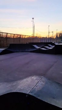 Dog Loves Doing Laps at Skate Park Pump Track