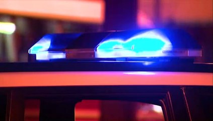 TTPS INVESTIGATING SCHOOL FIGHTS