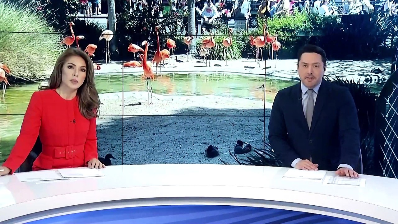 Zoológicos de San Diego en alerta por gripe aviar