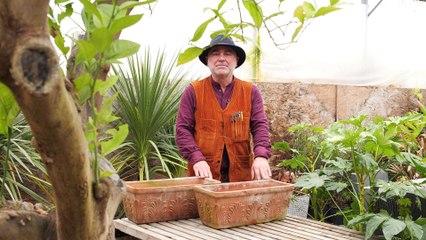 La minute jardin - Zoom sur semer des salades dans une jardinière en 3 étapes simples
