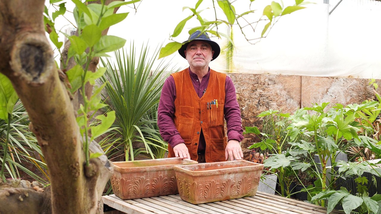 La minute jardin - Zoom sur semer des salades dans une jardinière en 3 étapes simples