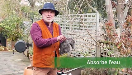 La minute jardin - Zoom sur comment planter un arbre fruitier en pot en 3 étapes ?