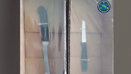 tn7-Decomisaron armas y drogas a estudiantes del Instituto de Guanacaste en Liberia-210422