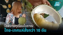 สาวไลฟ์สดขายทุเรียนโบราณ ไทย-เทศแห่สั่ง ตั้งแต่ต้นปีรวมแล้วกว่า 10 ตัน  | เที่ยงทันข่าว