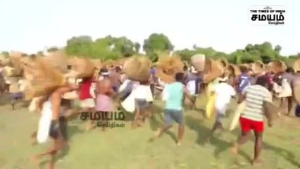 அரிய வகை மீன்கள்; களைகட்டிய சிவகங்கை மீன் திருவிழா!