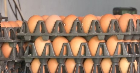 9 ข่าวเที่ยง ช่วงที่ 2 วันศุกร์ที่ 22 เม.ย.2565