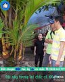 Cây dừa độc đáo nhất Việt Nam: có 48 đọt, được trả 1,5 tỷ nhưng chủ không bán