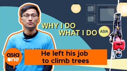 WIDWID Asia: He climbs trees for a living