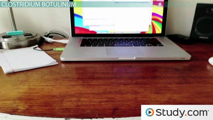 What Is Botulism- - Food Poisoning Caused By the Bacterium Clostridium botulinum