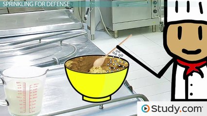 The Complement System- Definition and Function