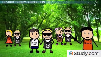 Type II Hypersensitivity- Cytotoxic Hypersensitivity