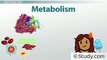 Inhibitors of Metabolite Synthesis- How Sulfa Drugs Work