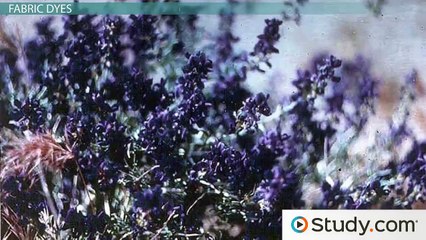 Microbes and the Clothing Industry